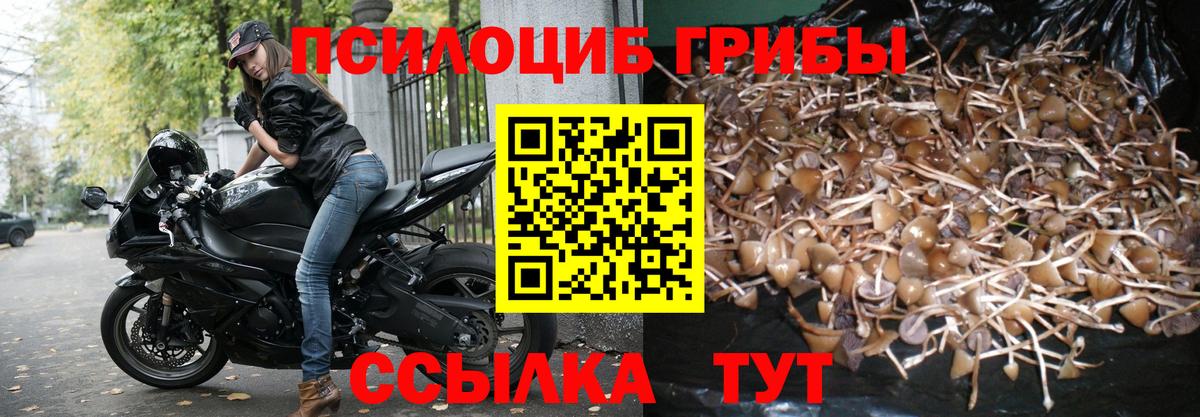 Кисловодск  Галлюциногенные грибы GOLDEN TEACHER  Вход с VPN 